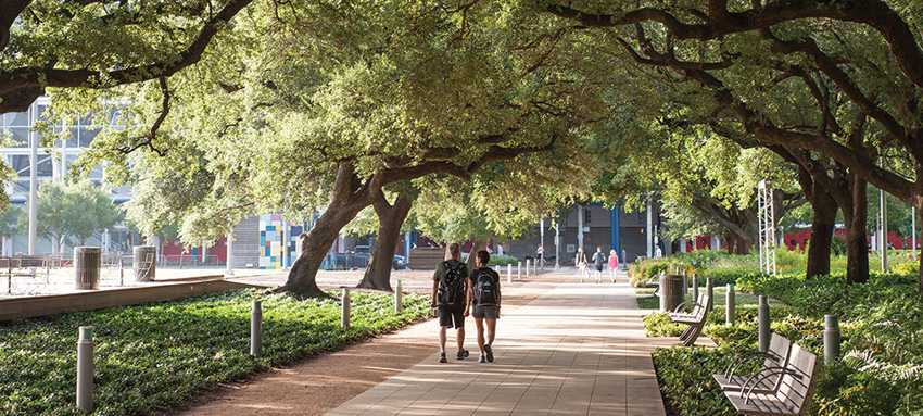 people walking